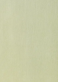 Europa 642-12-04 Kendinden Dokulu Çağla Fıstık Yeşili Duvar Kağıdı, 5.32m² Europa 642-12-04 Kendinden Dokulu Çağla Fıstık Yeşili Duvar Kağıdı, 5.32m²