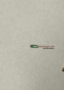 Beltesto 520859 Beton Efektli Mat Açık Gri Duvar Kağıdı, 5.32 m²