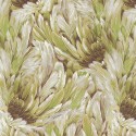 Roberto Cavalli No.9 RC21008 Kuş Tüyü Desenli Duvar Kağıdı
