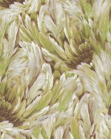 Roberto Cavalli No.9 RC21008 Kuş Tüyü Desenli Duvar Kağıdı