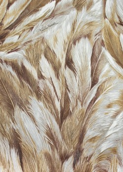 Roberto Cavalli No.9 RC21009 Kuş Tüyü Desenli Duvar Kağıdı Roberto Cavalli No.9 RC21009 Kuş Tüyü Desenli Duvar Kağıdı
