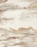 Roberto Cavalli No.9 RC21021 Mermer Desenli Duvar Kağıdı
