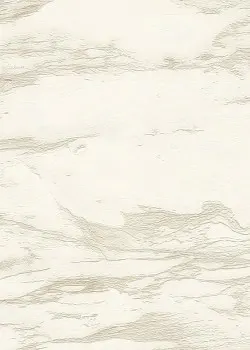 Roberto Cavalli No.9 RC21022 Mermer Desenli Duvar Kağıdı