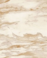 Roberto Cavalli No.9 RC21024 Mermer Desenli Duvar Kağıdı