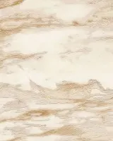 Roberto Cavalli No.9 RC21024 Mermer Desenli Duvar Kağıdı