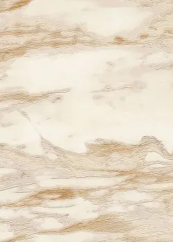 Roberto Cavalli No.9 RC21024 Mermer Desenli Duvar Kağıdı