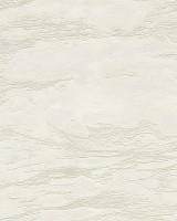 Roberto Cavalli No.9 RC21025 Mermer / Düz Dokulu Duvar Kağıdı