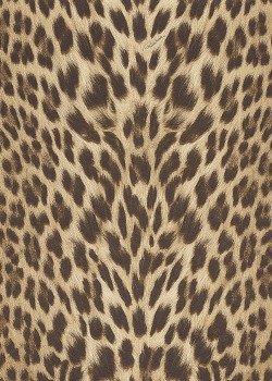 Roberto Cavalli No.9 RC21041 Leopar Desenli Duvar Kağıdı