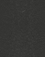 Roberto Cavalli No.9 RC21044 Leopar Desenli Duvar Kağıdı