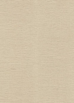 Roberto Cavalli No.9 RC21081 Düz Çizgili Hasır Dokulu Duvar Kağıdı