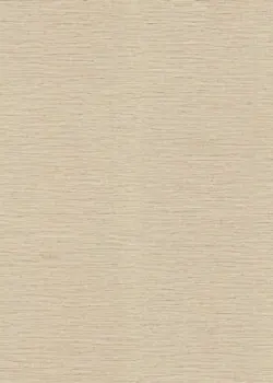 Roberto Cavalli No.9 RC21081 Düz Çizgili Hasır Dokulu Duvar Kağıdı