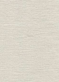 Roberto Cavalli No.9 RC21084 Çizgili Düz Duvar Kağıdı