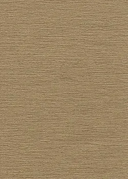 Roberto Cavalli No.9 RC21089 Çizgili Düz Duvar Kağıdı