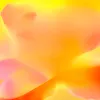 Sarı, turuncu ve şeftali tonlarında renk geçişli, soyut büyük çiçek formunda (Pop Flowers) duvar kağıdı paneli Project Z61012-2
