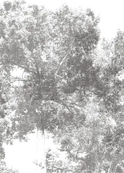 Project Z61039-1 Pixel Trees Yüksek Kontrastlı Beyaz/Gri Ağaç Silüeti Desenli Modern Duvar Kağıdı Paneli 15m²