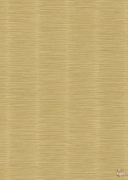 Architexture 2 Z57717 Bej Hasır Görünümlü Dokulu Duvar Kağıdı