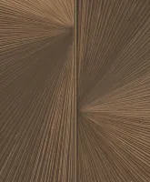 Elie Saab Z34950, Siyah Bronz Işınsal Desenli Panel Duvar Kağıdı