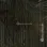 Philipp Plein 2 Z81014 Dikey Çizgili Tropikal Palmiye Gölgeli Lüks Duvar Kağıdı, 10m²