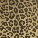Philipp Plein 2 Z81029 Leopar Desenli Altın-Bronz Dokulu Lüks Duvar Kağıdı, 10m²