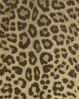 Philipp Plein 2 Z81029 Leopar Desenli Altın-Bronz Dokulu Lüks Duvar Kağıdı, 10m²