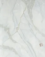 Philipp Plein 2 Z81043 Beyaz Zeminli Soft Yeşil ve Gümüş Damarlı Mermer Duvar Kağıdı, 10m²