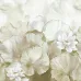Satin Flowers Z66875 Bej Lotus Duvar Paneli