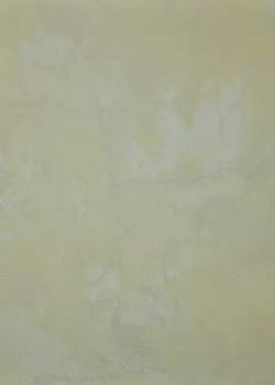 Savana Z77541 Bej Krem Beton Sıva Dokulu Duvar Kağıdı 5m²