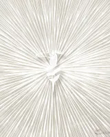 Trussardi 8 Z30356 Raggi Levriero Duvar Kağıdı Paneli, 6m²