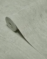 Vision Z76019 Taupe Dokulu Düz Duvar Kağıdı Sakin Mekanlar