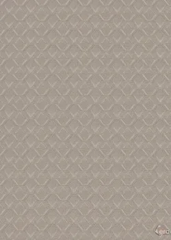 Vision Z76020 Mikro Elmas Desen Taupe Duvar Kağıdı Minimalist Şıklık